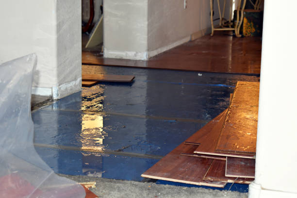 Professional Water Damage Restoration technician working in Arp, TX